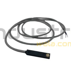 pneumatic reed switch